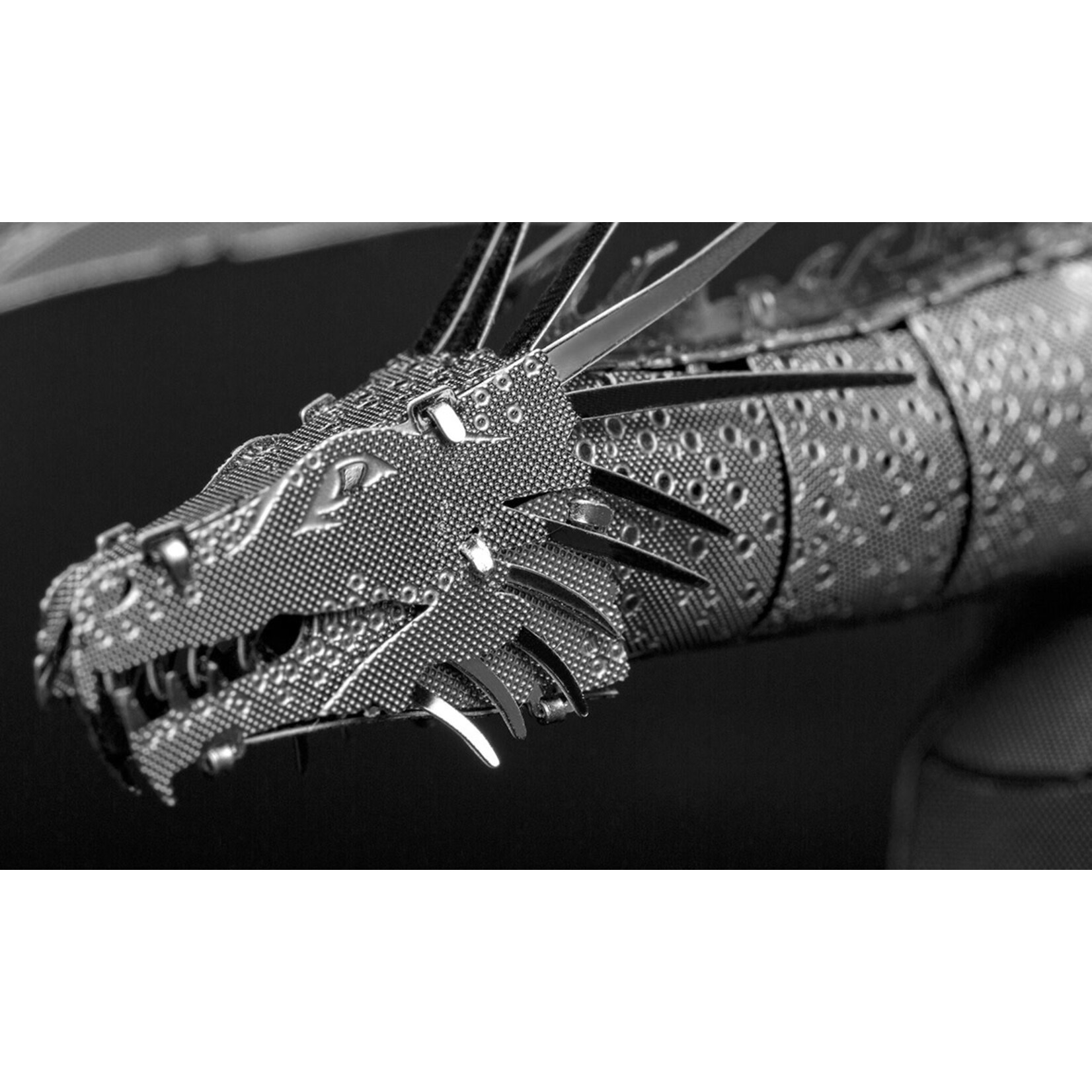 Gringotts Dragon Harry Potter