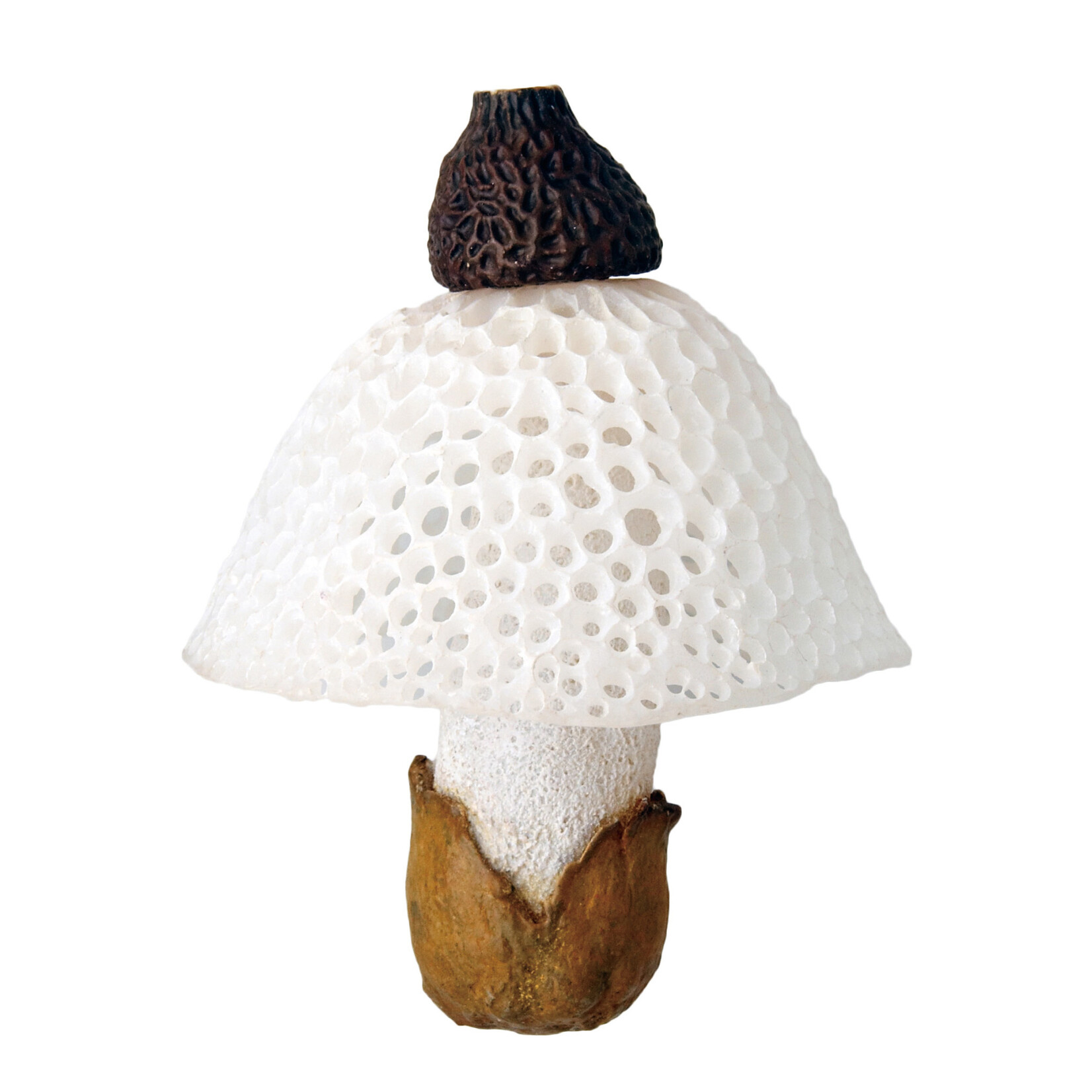 Kitan Club Kitan Club: Mushroom Soft Rubber Charm Blind Box