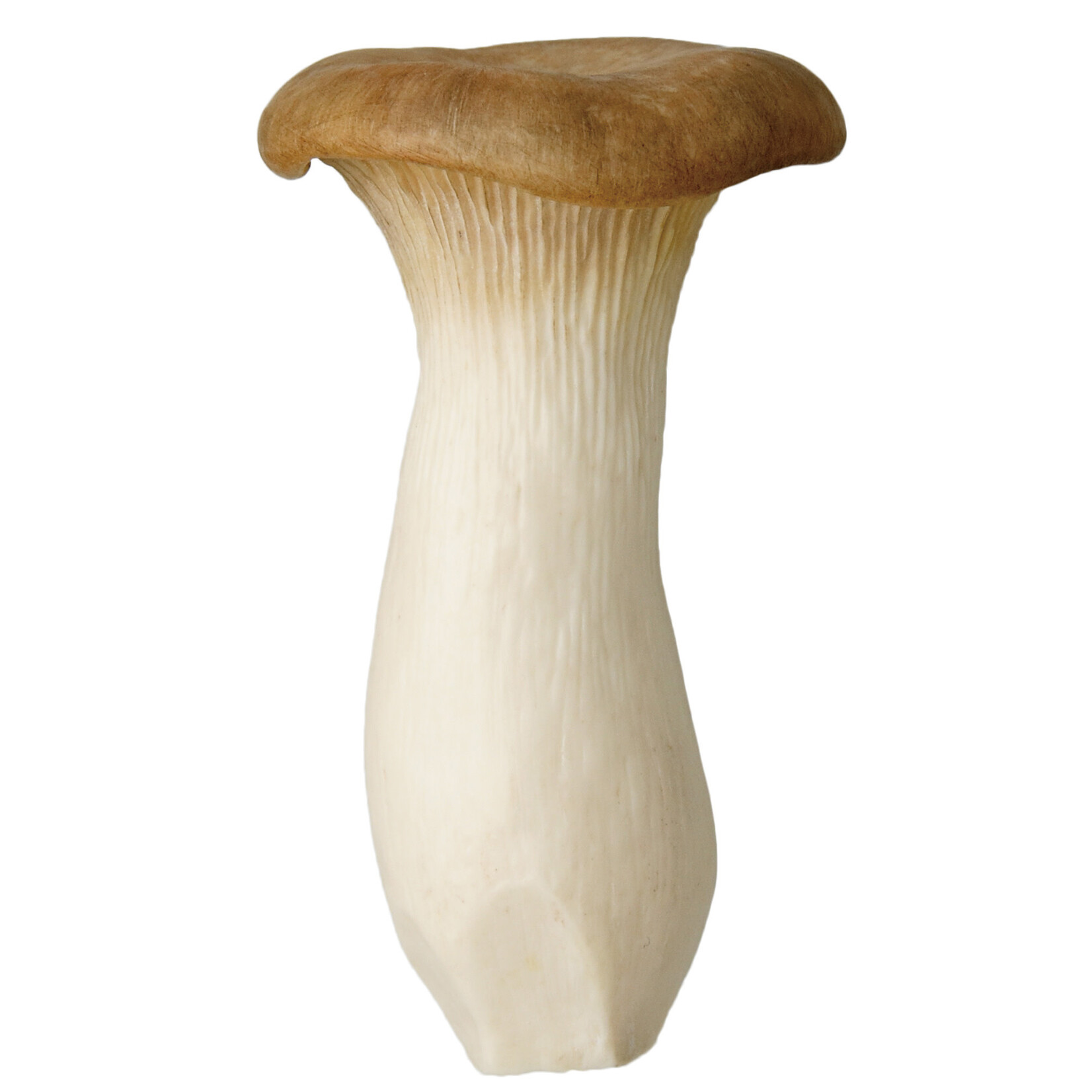 Kitan Club Kitan Club: Mushroom Soft Rubber Charm Blind Box