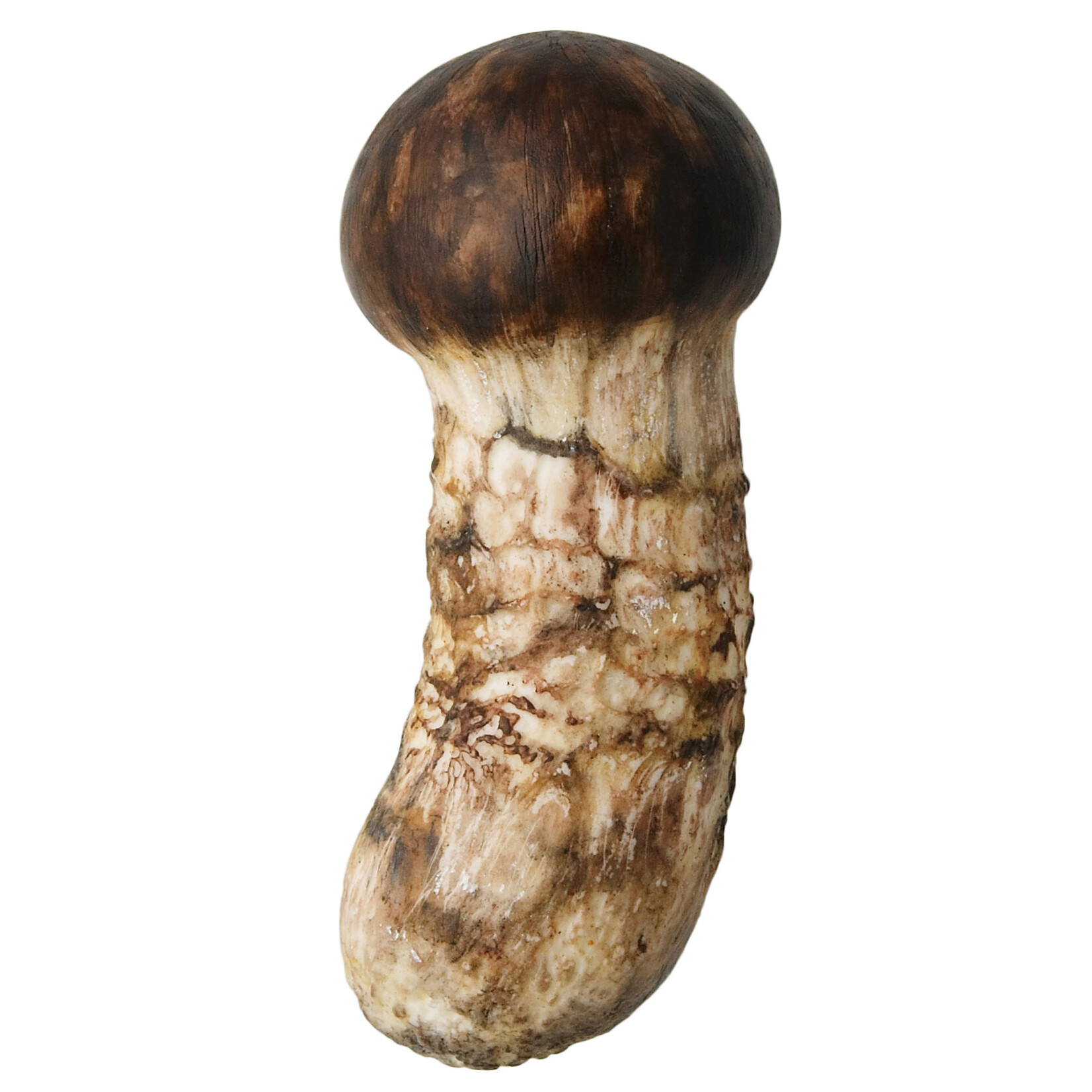 Kitan Club Kitan Club: Mushroom Soft Rubber Charm Blind Box