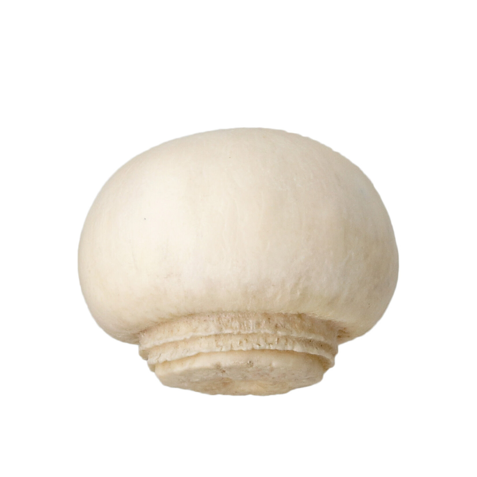 Kitan Club Kitan Club: Mushroom Soft Rubber Charm Blind Box