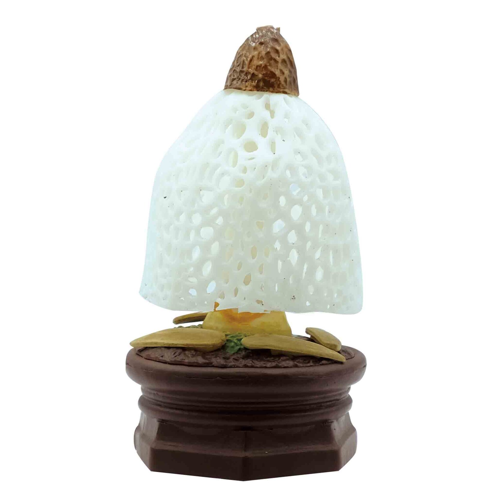 Qualia Mushroom Garden Blind Box Vol.1