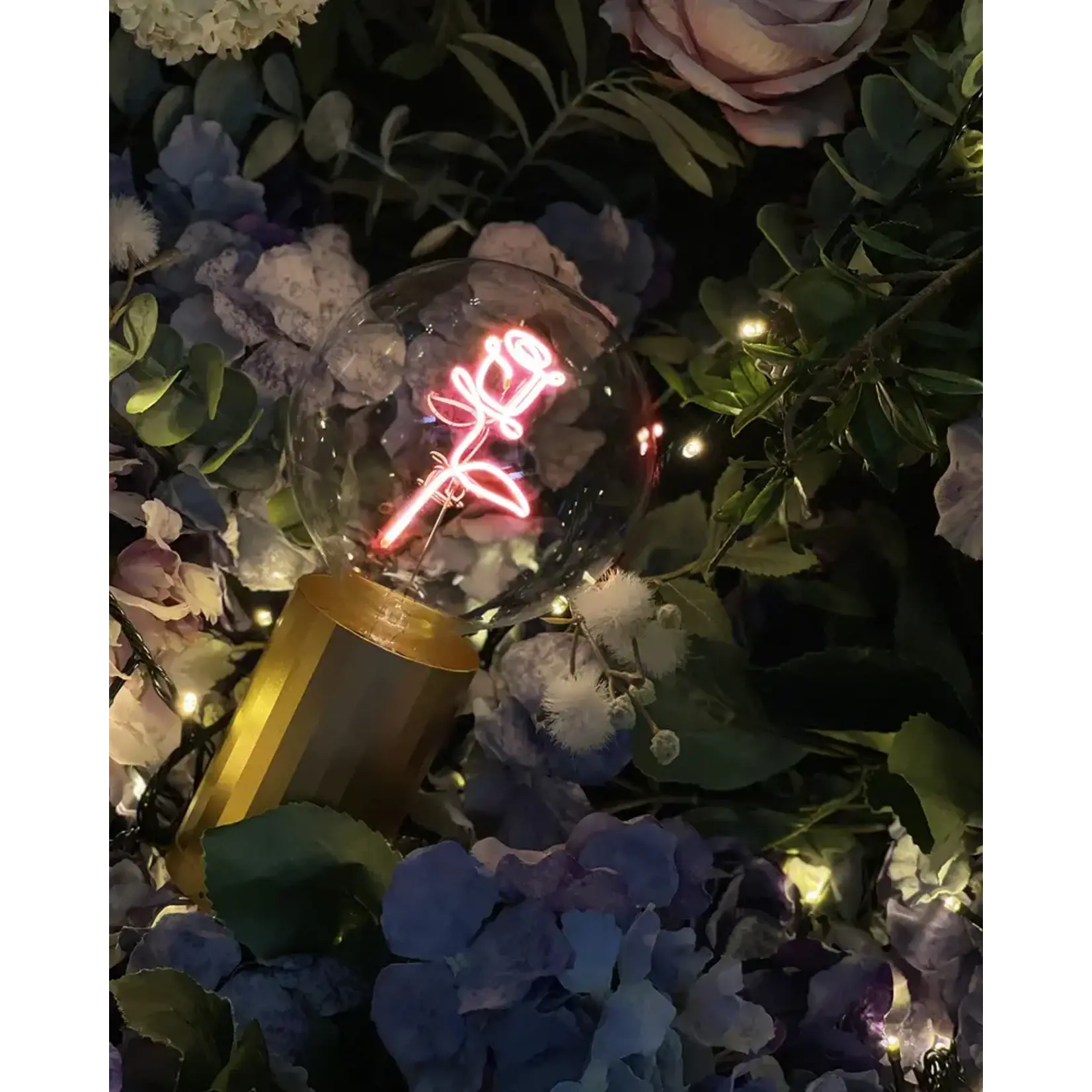 Message in the Bulb Bulb: Rose - Red