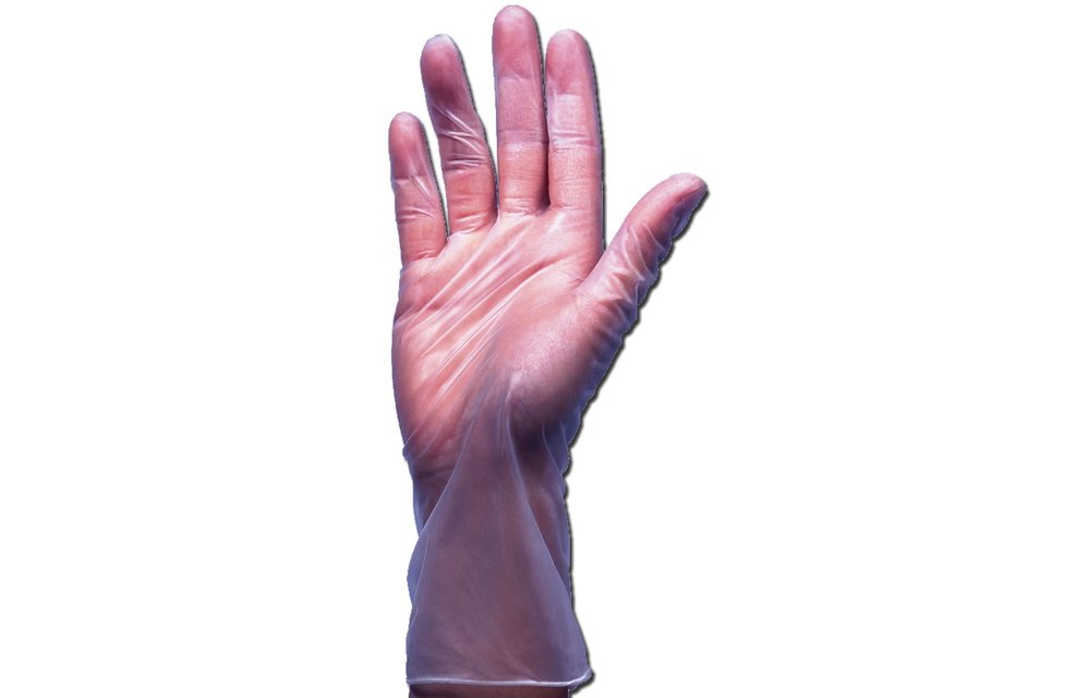 Chartwell Vinyl Gloves 100/bx