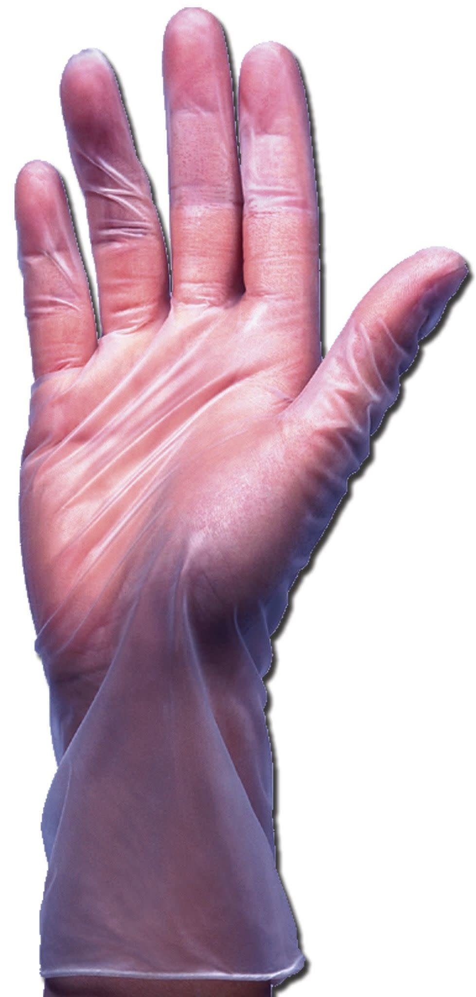 Chartwell Vinyl Gloves 100/bx