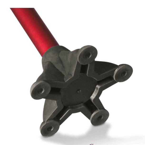 ARGO-Airgo Airgo Claw The Standing Cane Tip