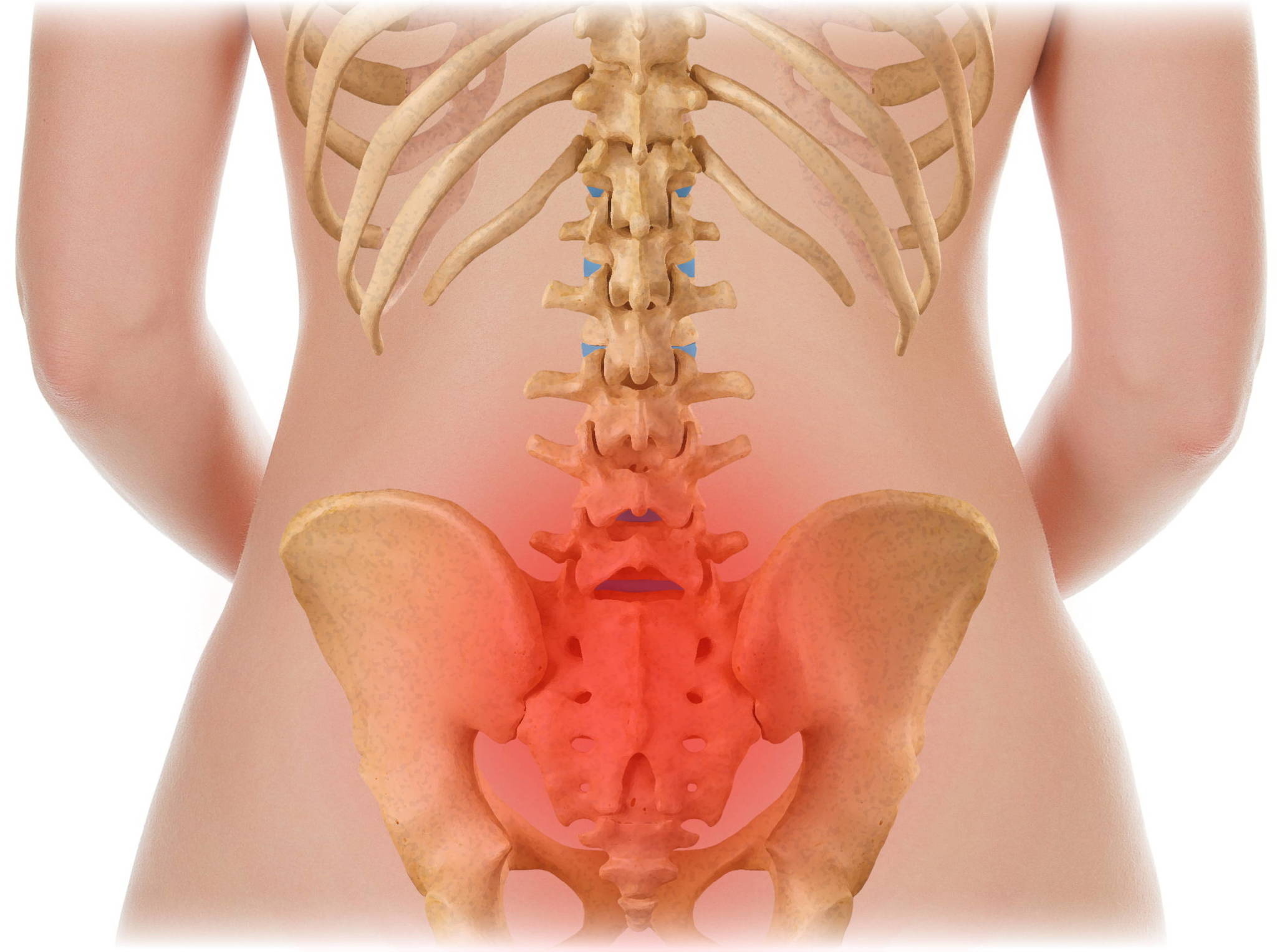 OTC - Airway Surgical Petite Lumbosacral Support Brace