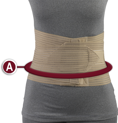 OTC - Airway Surgical Petite Lumbosacral Support Brace