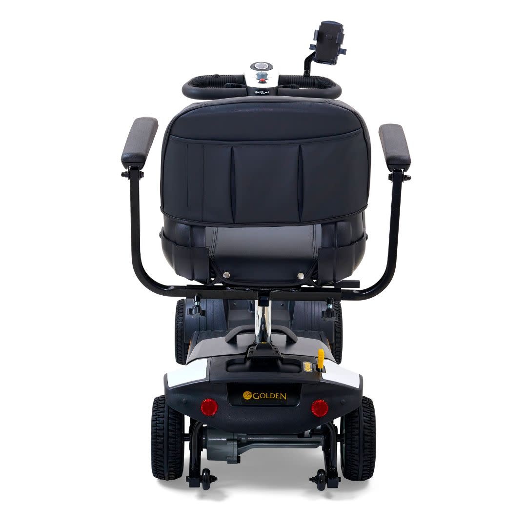 GLD-Golden BuzzAround XL