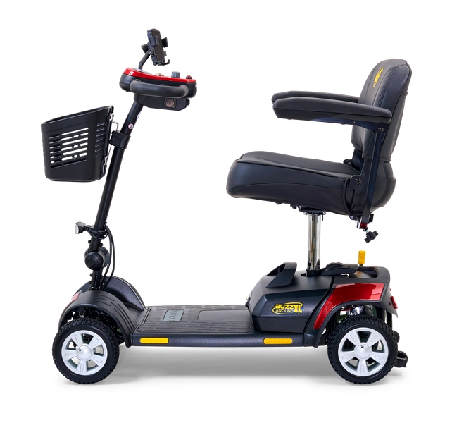 GLD-Golden BuzzAround XL