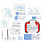 BOS-BIOS First Aid Kit 75 pieces
