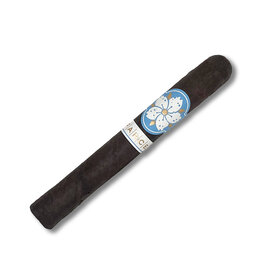 Room101 Farce Nicaragua Toro