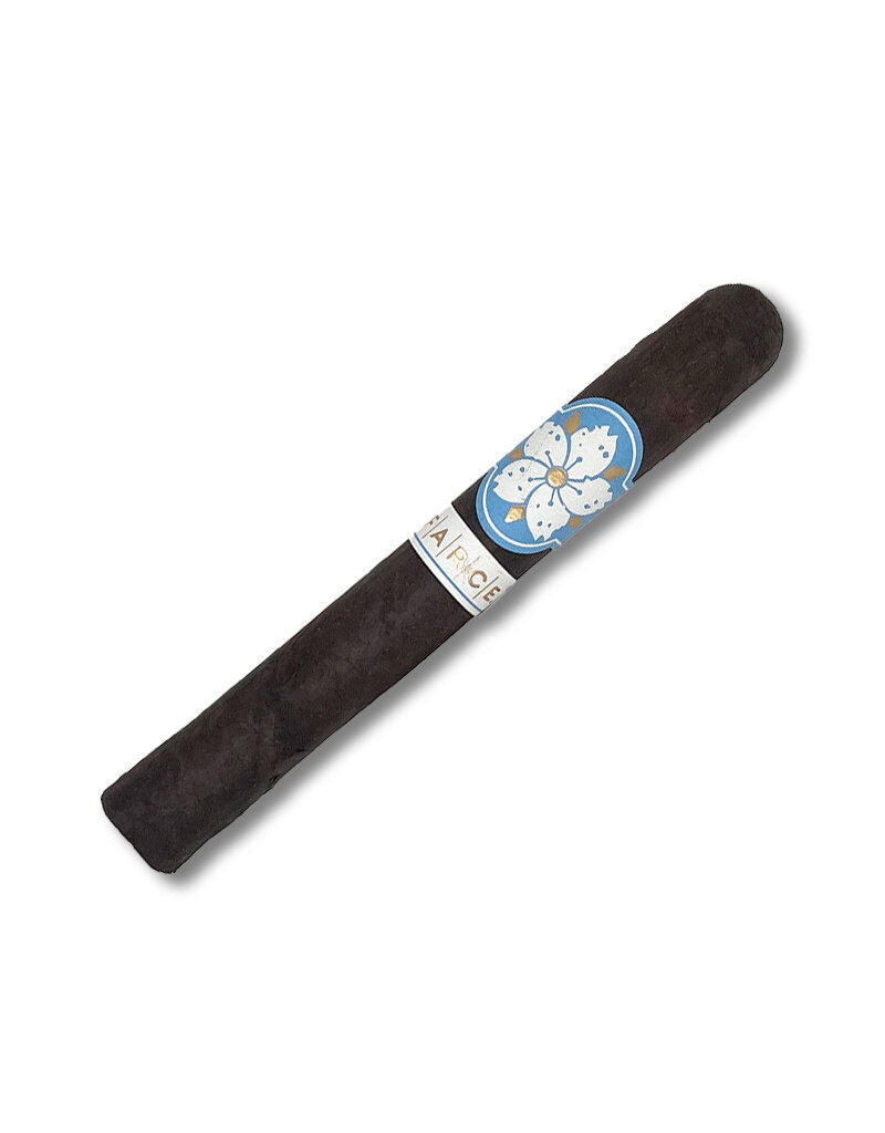 Room101 Farce Nicaragua Toro