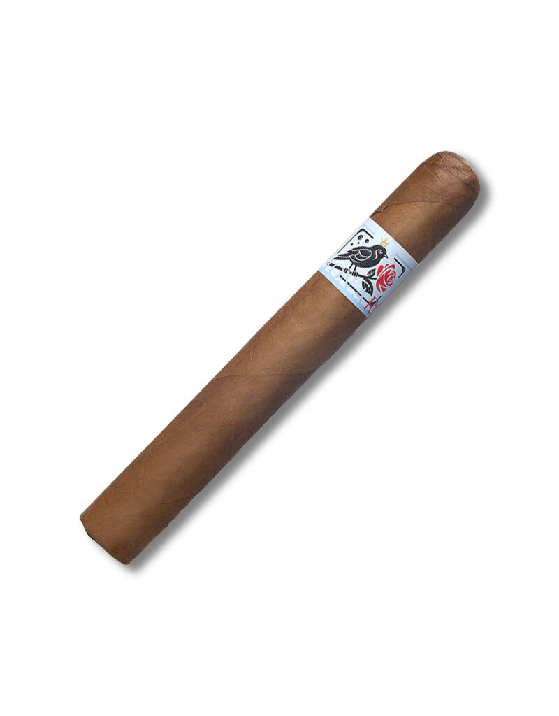 Warped Warped Bird On A Rose