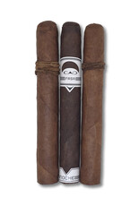 CAO Night In The Amazon Sampler