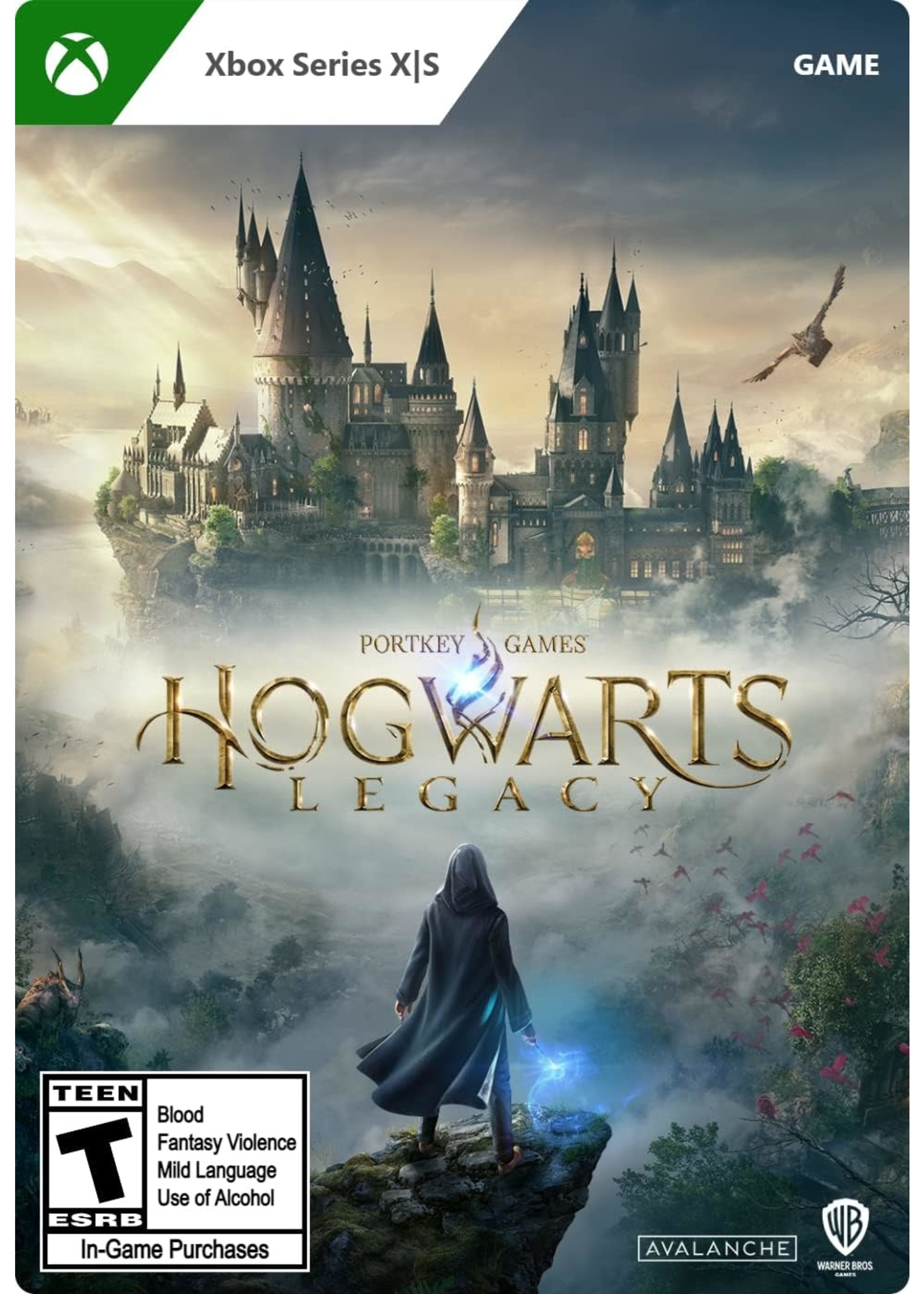 Hogwarts Legacy Edition - XBOne SERIES X