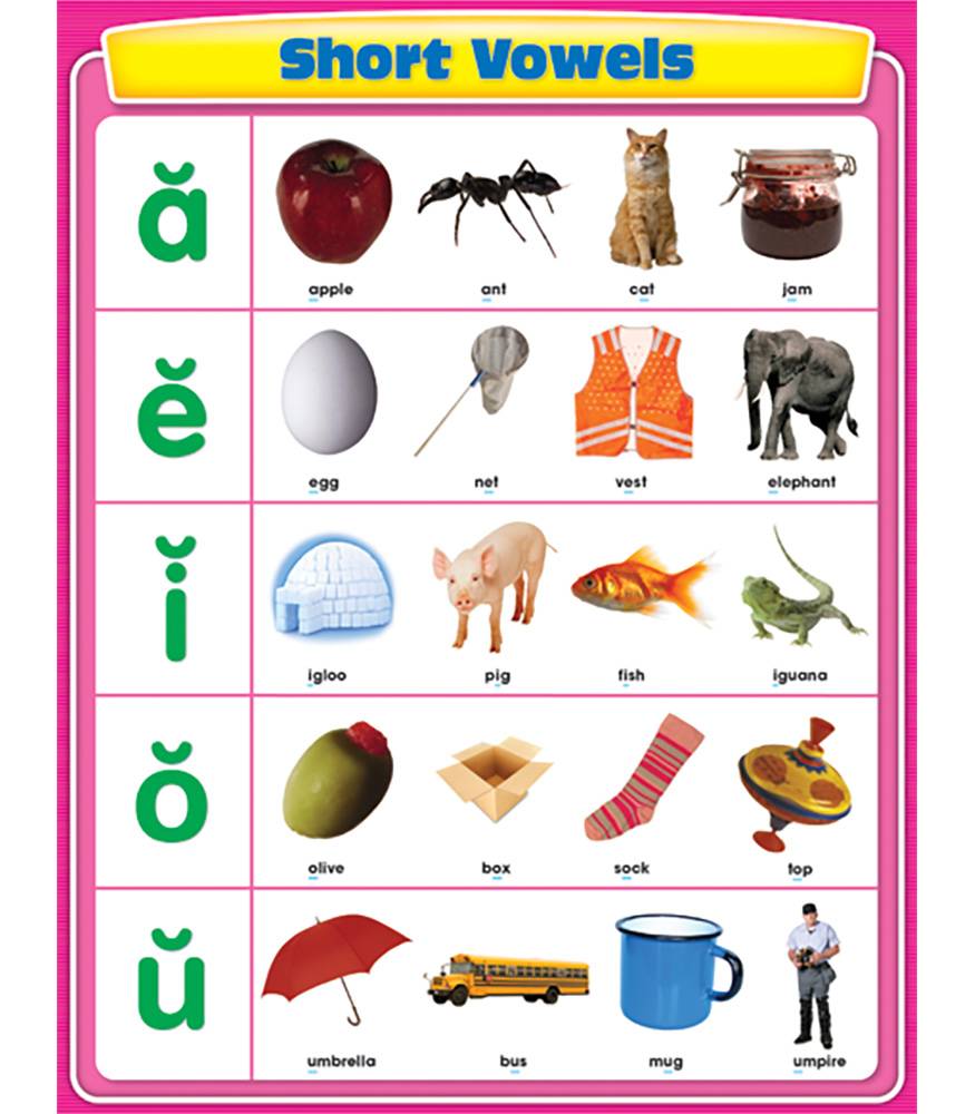 Short vowels. Short Vowels Chart. 5 Short Vowels. Carson-Dellosa consonants and Vowels.