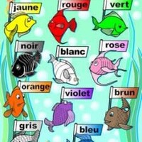 French Poster- les couleurs
