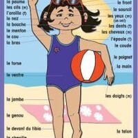 French Poster - les parties du corps