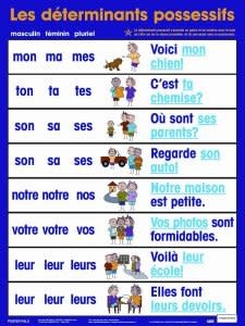 French Poster - Les determinants possessifs