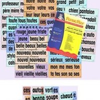 French Posters - Adjective Attack Cards (and reproducible)