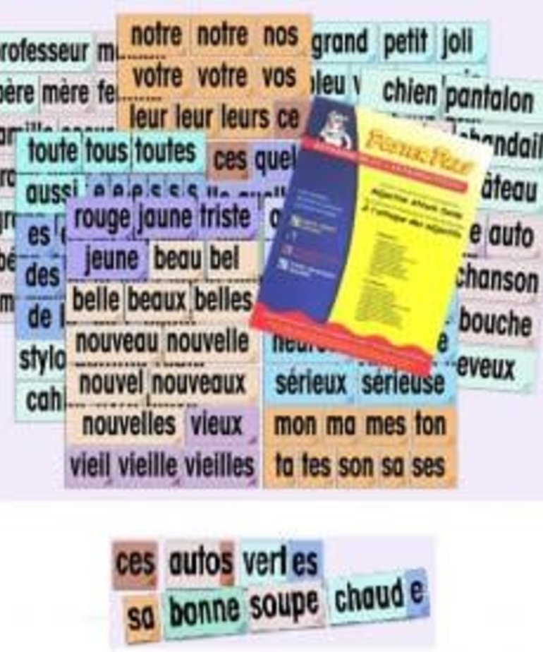 French Posters - Adjective Attack Cards (and reproducible)
