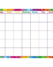 Color Splash Write On/Wipe Off Calendar