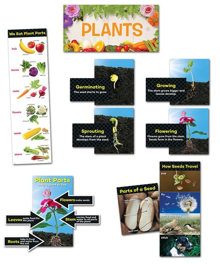 Plants-Mini-Bulletin