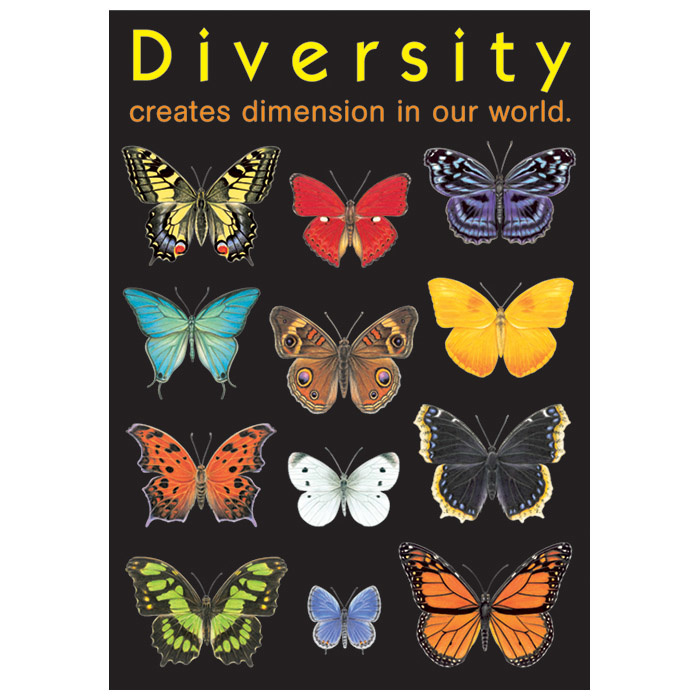 Diversity creates Dimension...-Poster