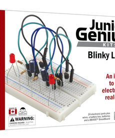 Blinky Lights Kit