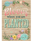 Bloom Where You Are Planted-Poster