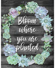 Simply Stylish Bloom Where You Are Planted