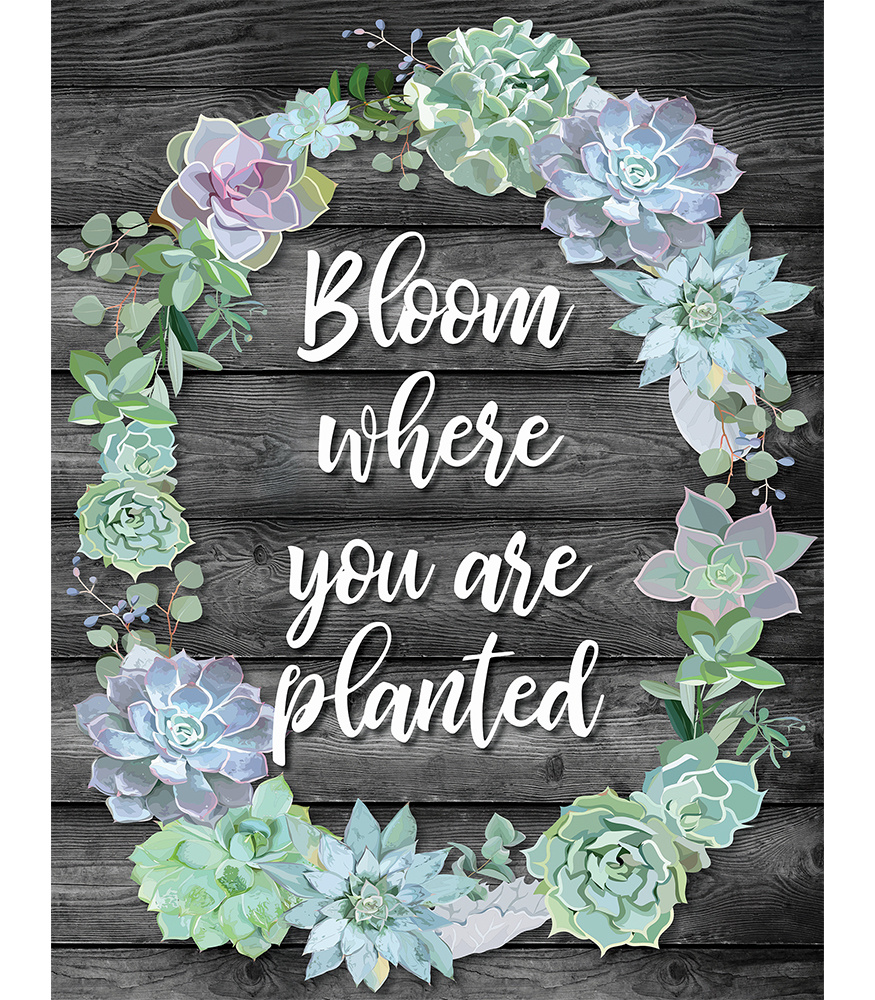 Simply Stylish Bloom Where You Are Planted