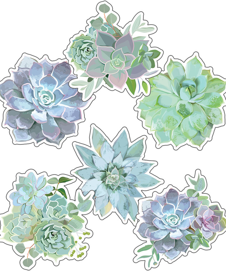 Simply Stylish Succulent Accents