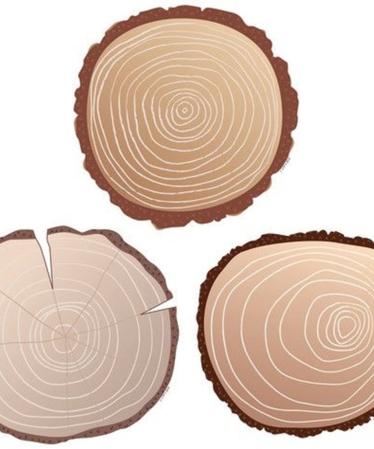 Woodland Friends Wood Slices Accents