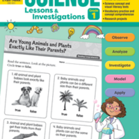 Science Lessons & Investigations Gr.1