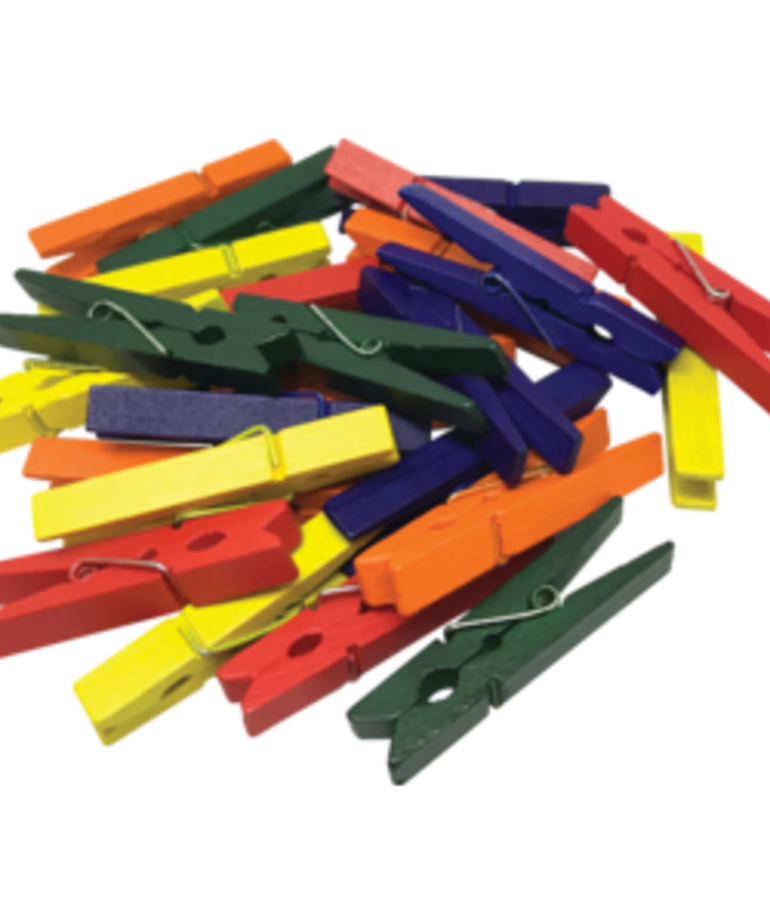 STEM Basics: Medium Multicolor Clothespins-50