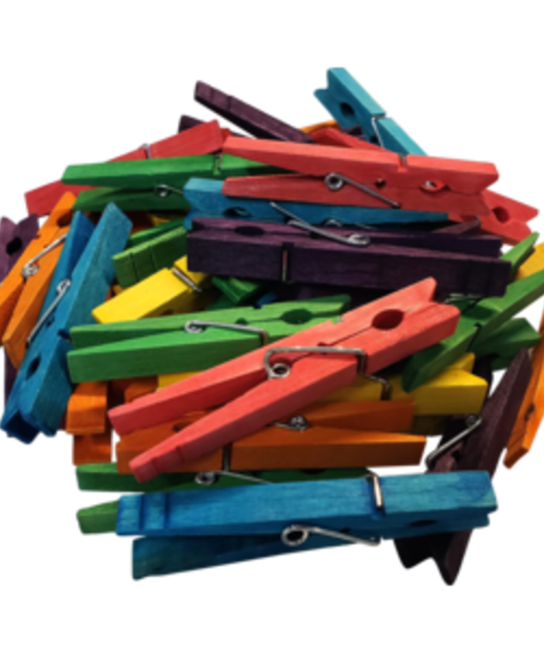 STEM Basics: Multicolored Clothespins-50