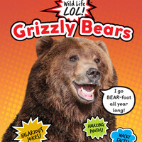 Wild Life LOL! Grizzly Bears