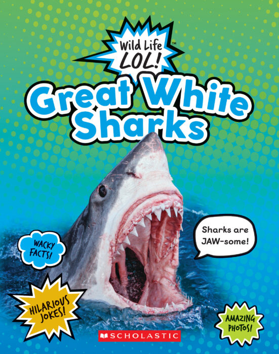 Wild Life LOL! Great White Sharks