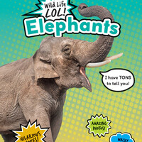 Wild Life LOL! Elephants