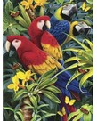 Paint By Number Majestic Macaws