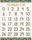 Eucalyptus Numbers Chart