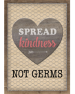 Spread Kindness Not Germs Postitive Poster
