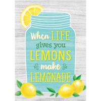 Lemon Zest When Life Gives You Lemons Positive Poster