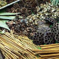 Botanicals Assortment