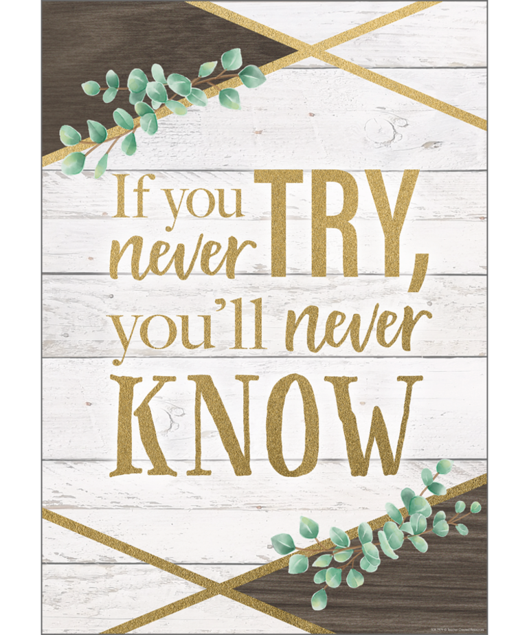 If You Never Try You Will Never Know Positive Poster