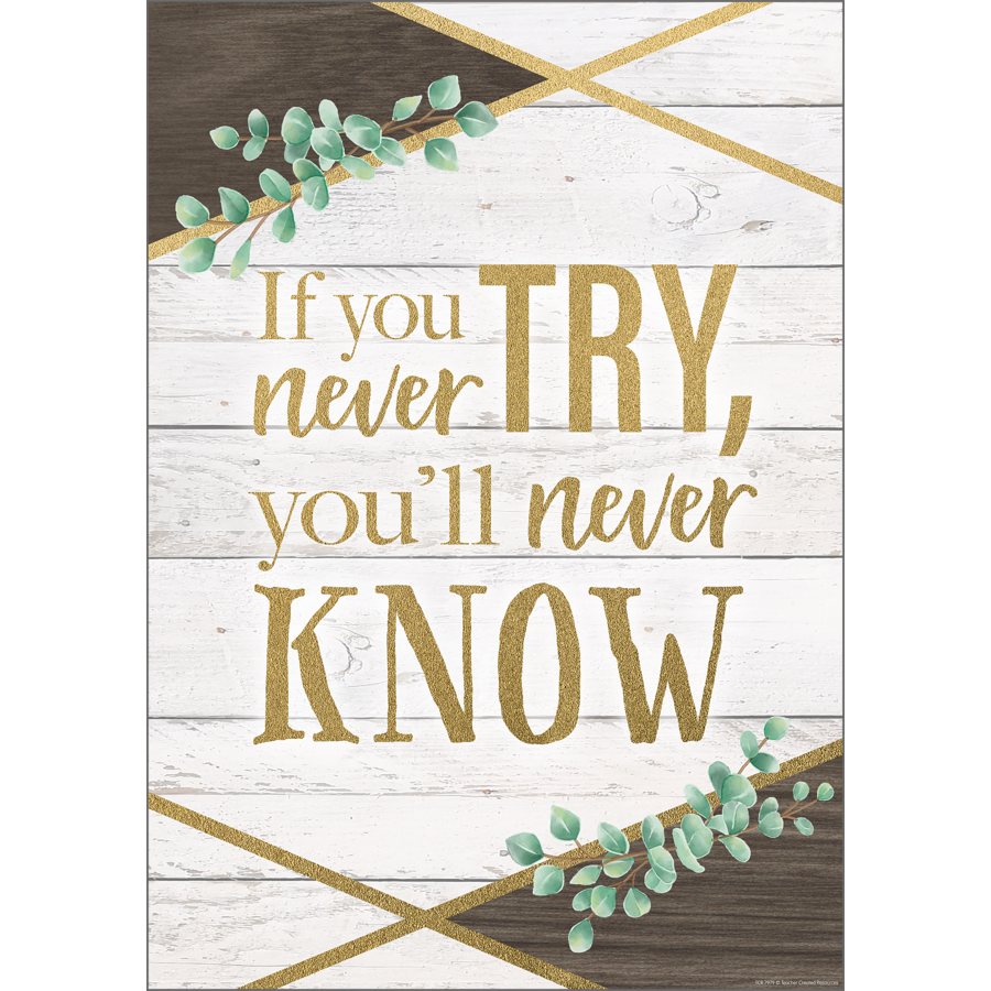 Eucalyptus If You Never Try You Will Never Know Positive Poster