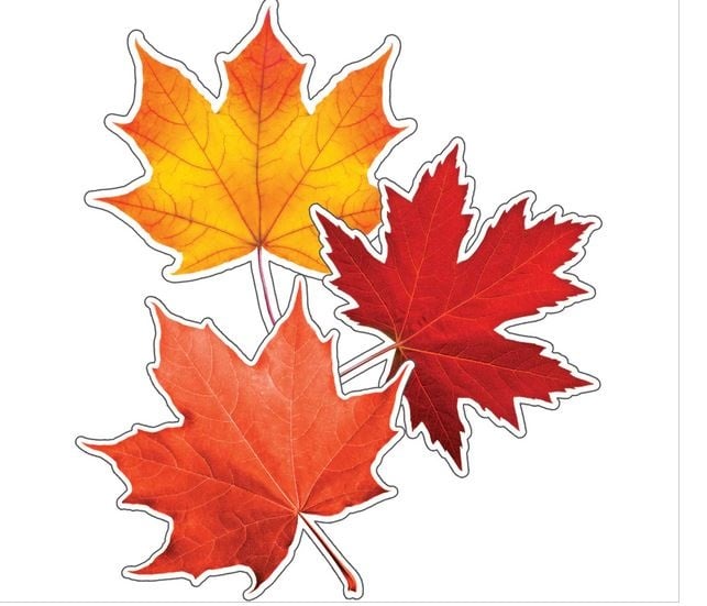 Maple Leaves Colorful Cut-Outs