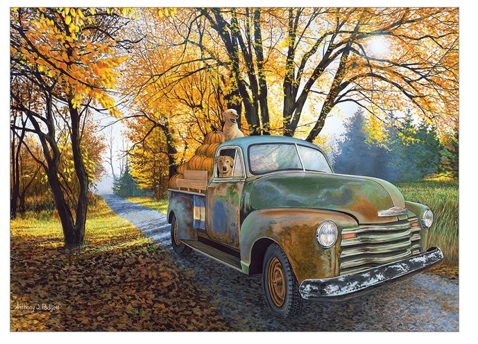 Cobble Hill Joy Ride Puzzle 1000pc